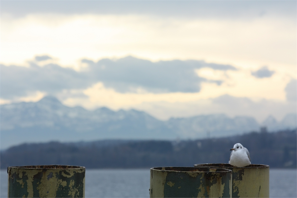 Gewinnerbild zum Thema Winterwasser (Februar)