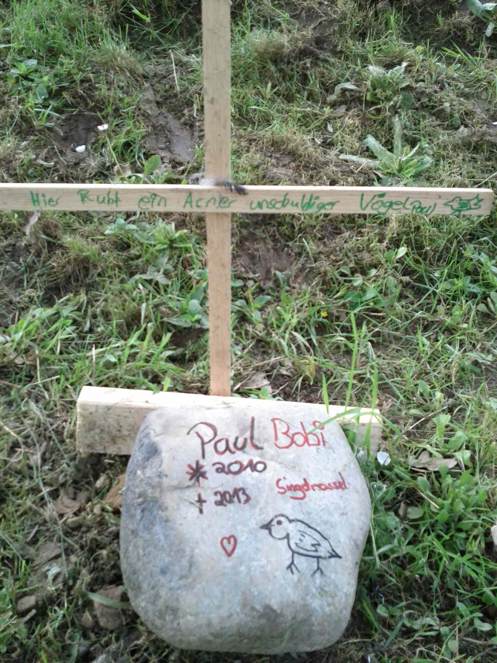 paul3