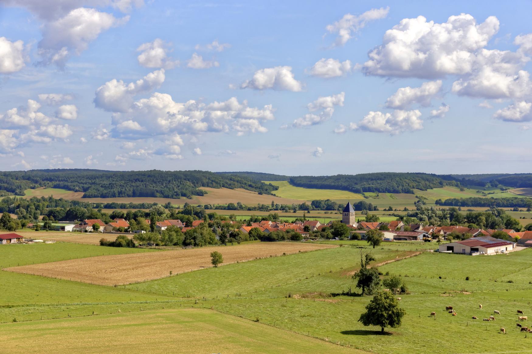 20140822_3537_DxO Copie_tonemapped copie