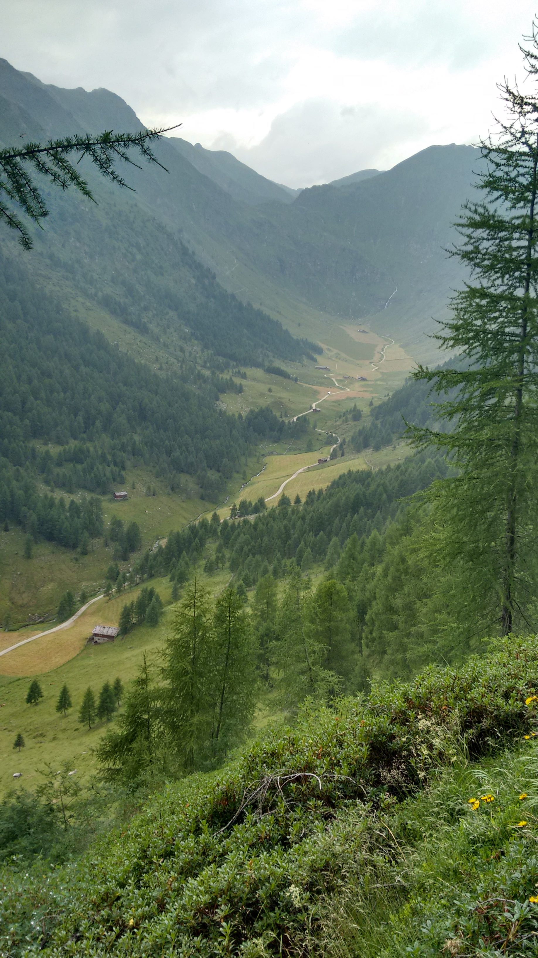 IMG_20150708_131257457_HDR